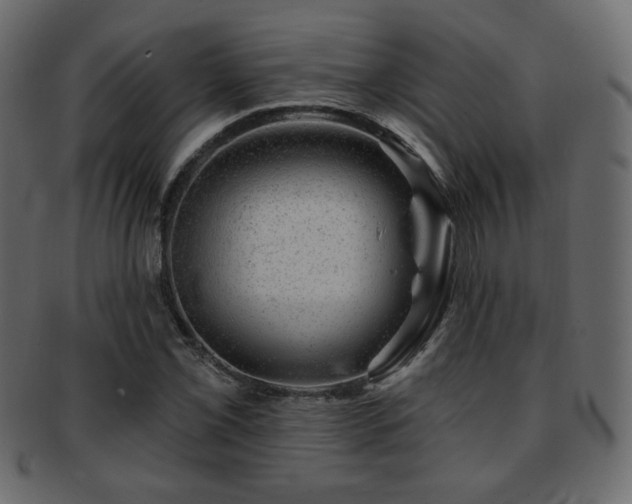 X0000093211069200709261551