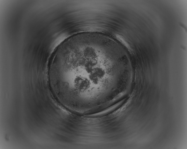 X0000093211071200709261551