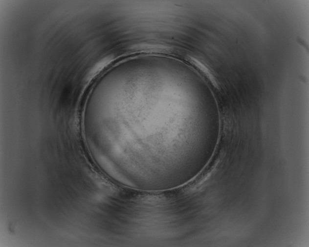 X0000093211074200709261551