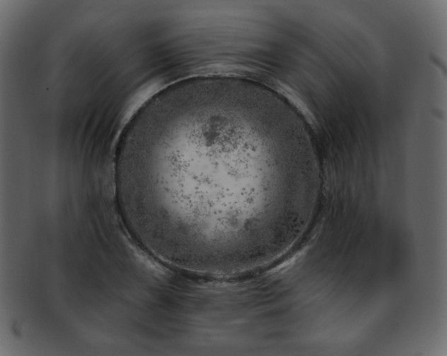 X0000093211075200709261551