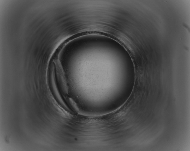 X0000093211076200709261551
