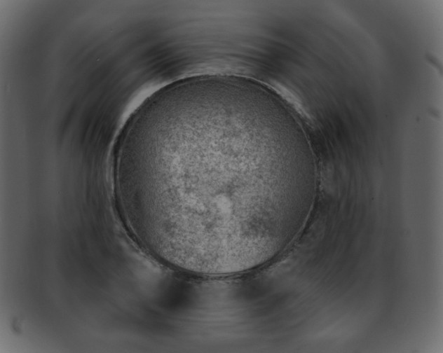 X0000093211078200709261551