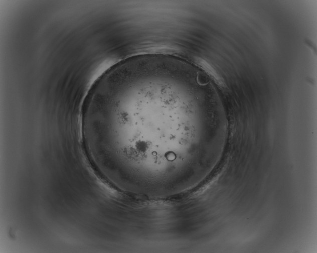 X0000093211079200709261551