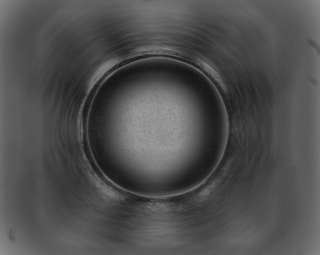 X0000093211082200709261551
