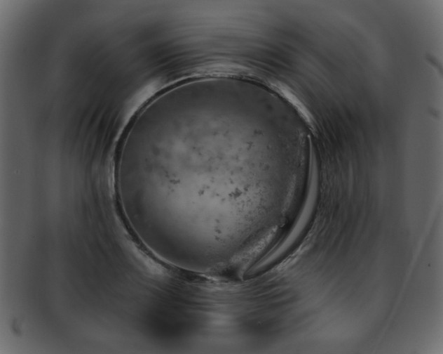 X0000093211083200709261551
