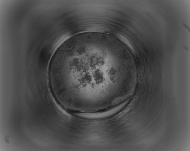 X0000093211087200709261551