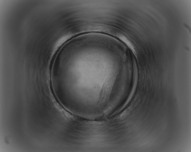 X0000093211088200709261551