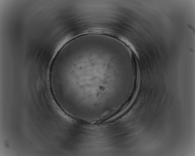 X0000093211091200709261551