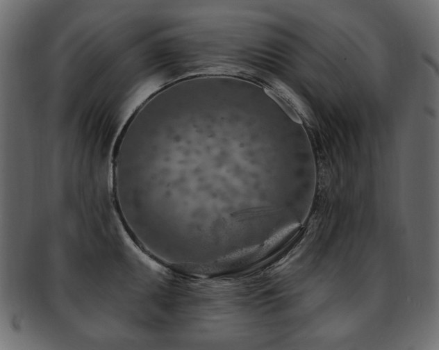 X0000093211095200709261551