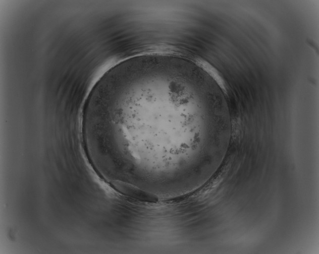 X0000093211099200709261551
