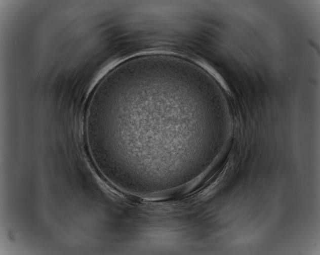 X0000093211101200709261551