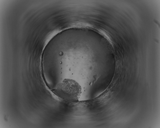 X0000093211103200709261551