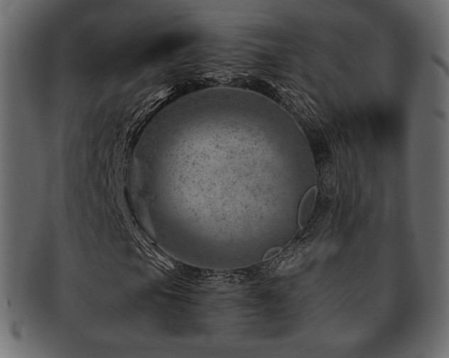X0000093211105200709261550