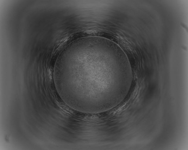 X0000093211106200709261550