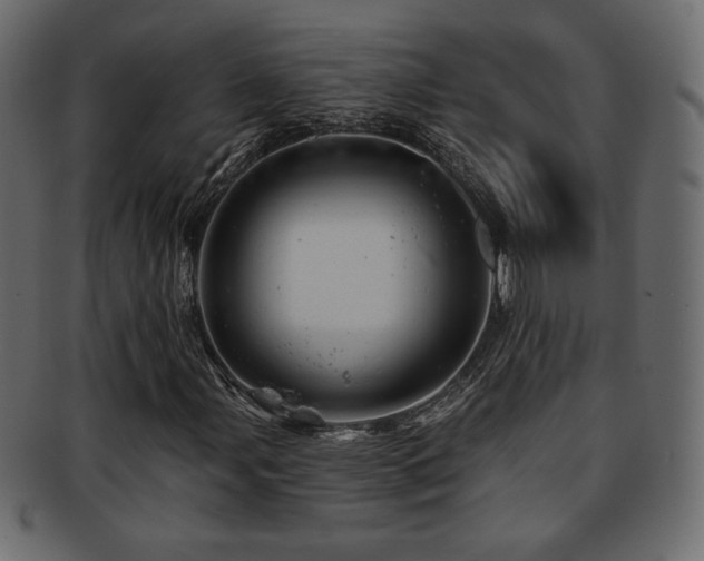 X0000093211107200709261550