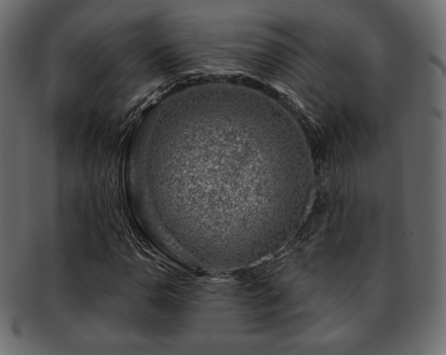 X0000093211110200709261551