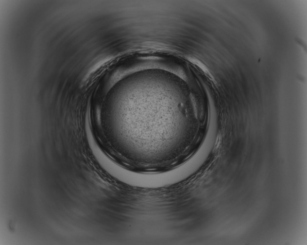 X0000093211112200709261551
