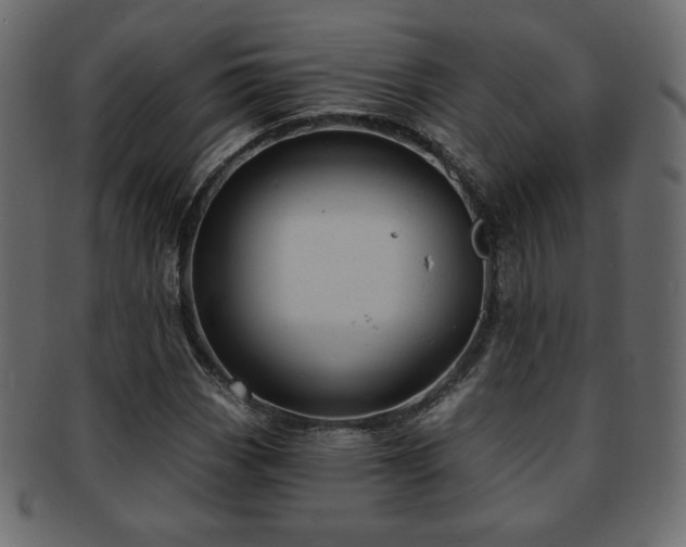 X0000093211113200709261551