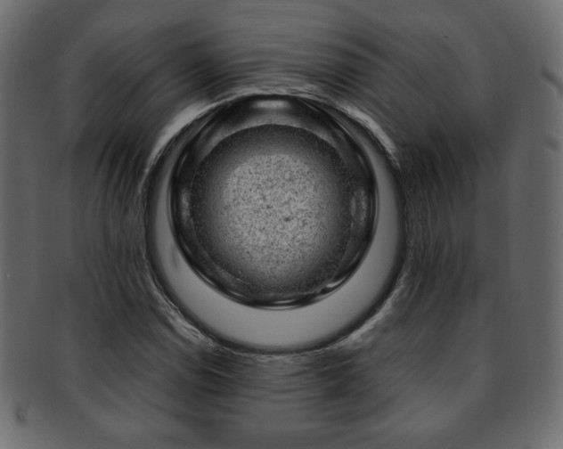 X0000093211114200709261551