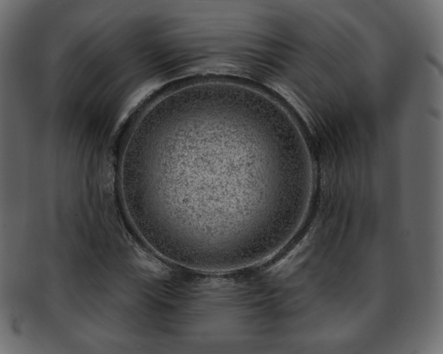 X0000093211115200709261551