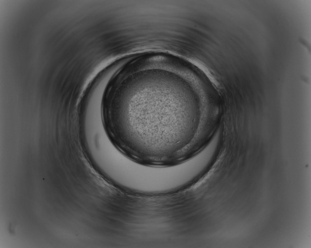 X0000093211118200709261551