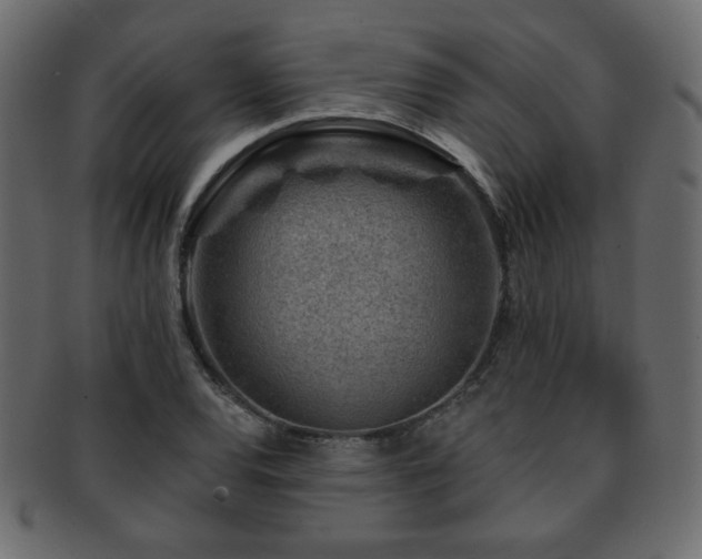 X0000093211120200709261551