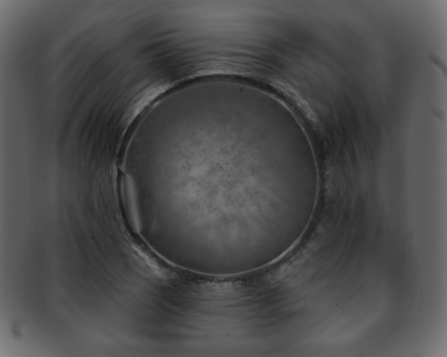 X0000093211121200709261551