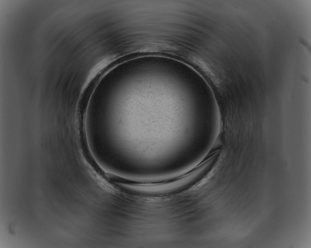 X0000093211122200709261551