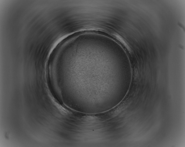 X0000093211124200709261551