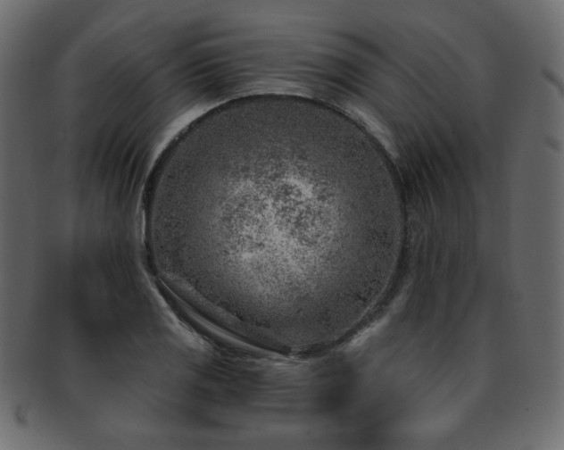 X0000093211125200709261551