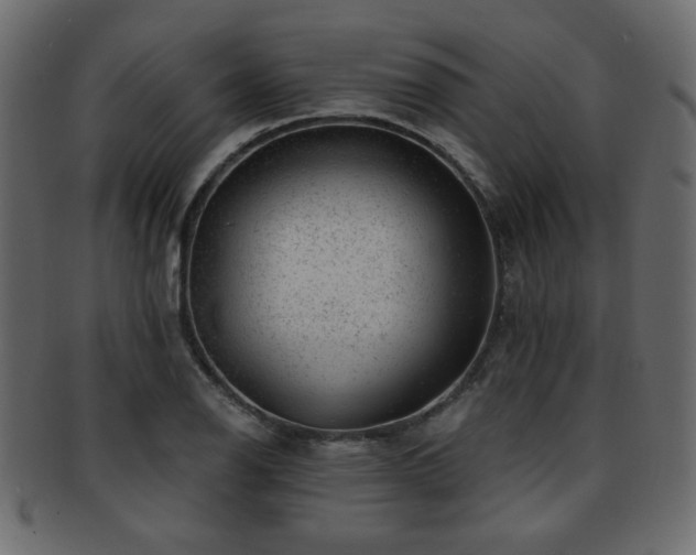 X0000093211126200709261551