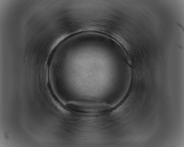 X0000093211127200709261551