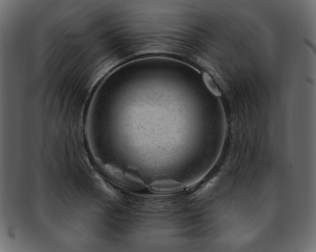 X0000093211129200709261551
