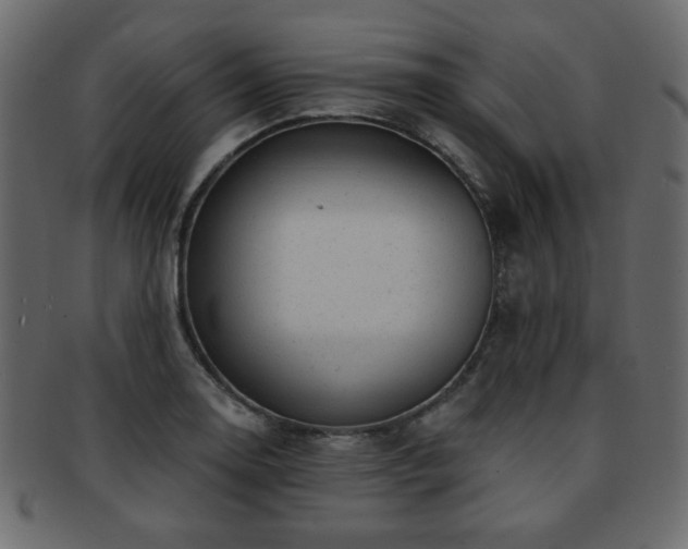 X0000093211130200709261551