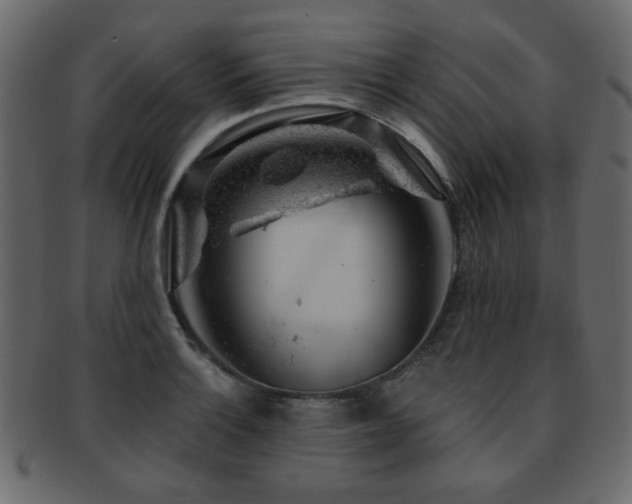 X0000093211132200709261551