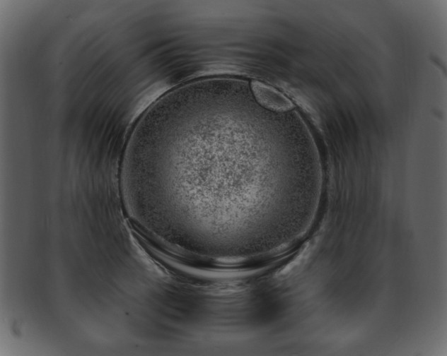 X0000093211137200709261551