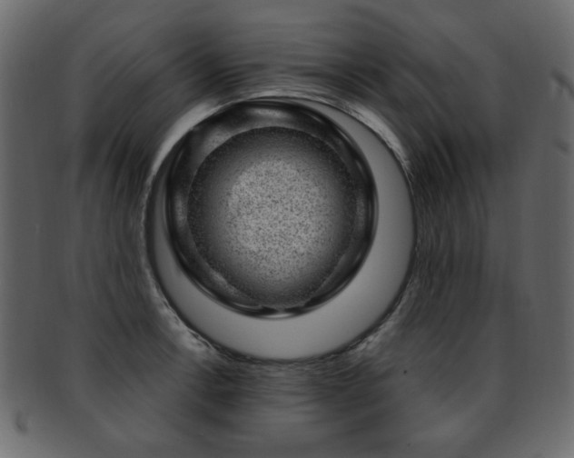 X0000093211138200709261551