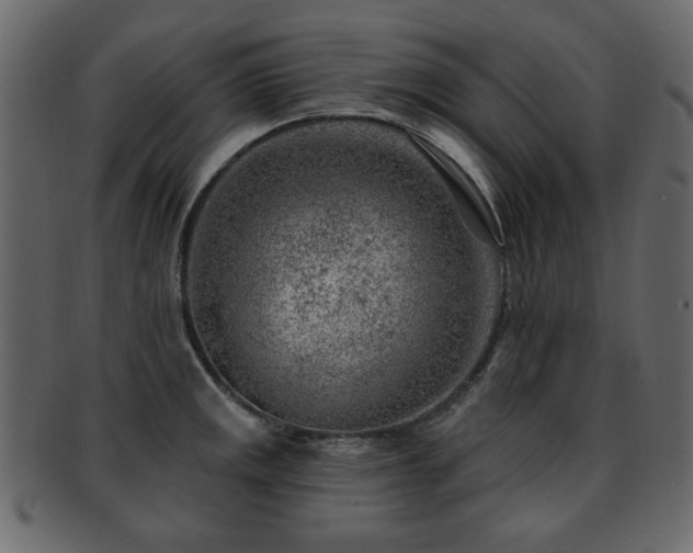 X0000093211141200709261551