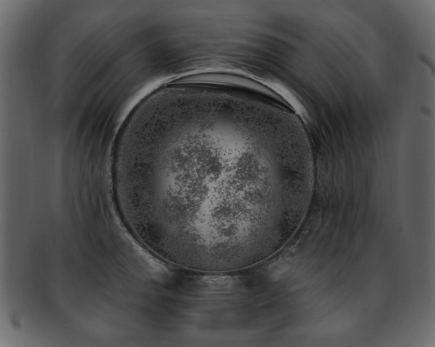 X0000093211142200709261551