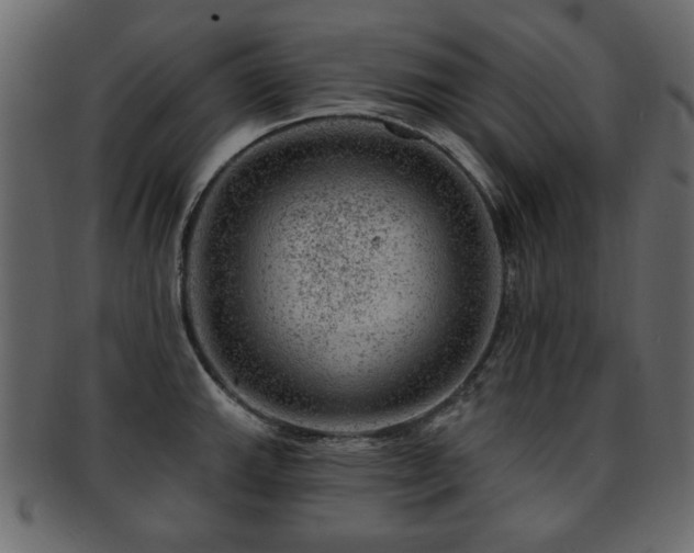 X0000093211143200709261551