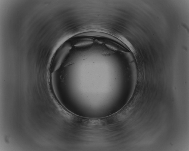 X0000093211144200709261551