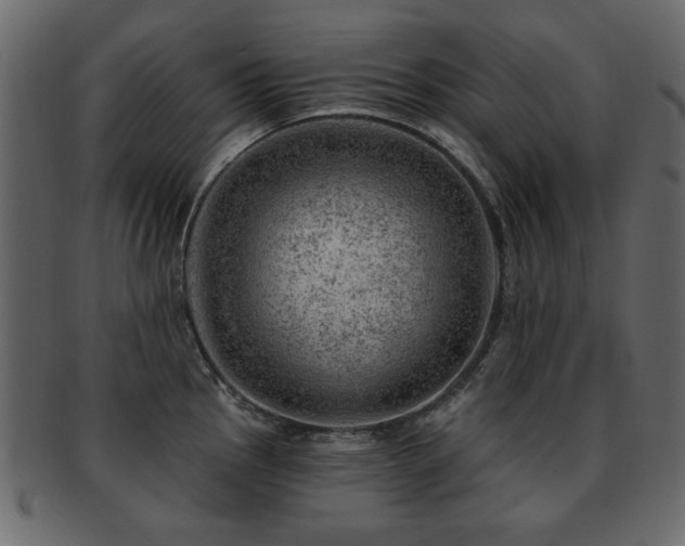 X0000093211145200709261551