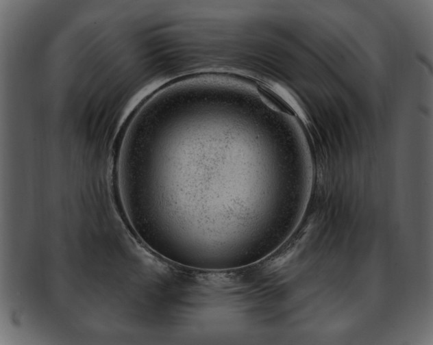 X0000093211149200709261551