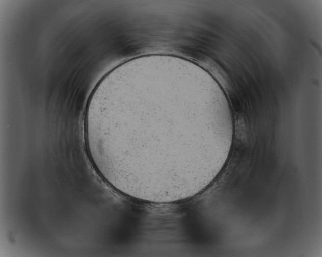 X0000093211150200709261551