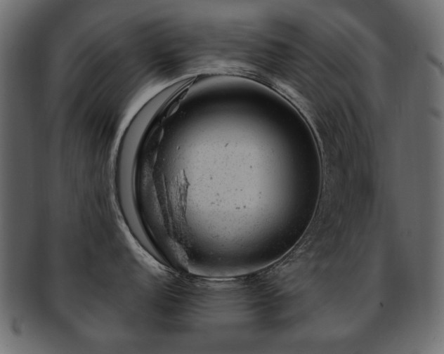 X0000093211152200709261551