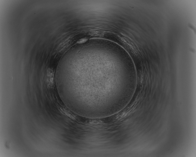 X0000093211154200709261550
