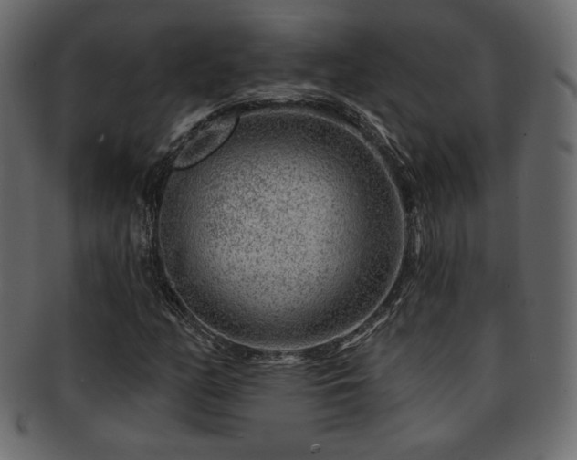 X0000093211158200709261550