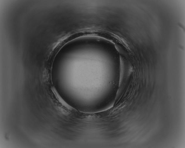 X0000093211160200709261550