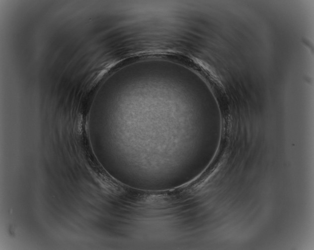 X0000093211161200709261550