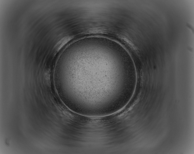 X0000093211162200709261550